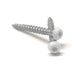 ANKARSKRUV 4,8X40 C4 VIT BRK=100 - Thomee