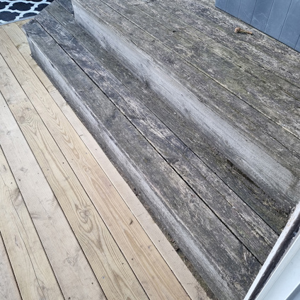 ALTANVERKTYG 2-I-1 SLIP- PLATTA O  APPPLICERINGSDYNA